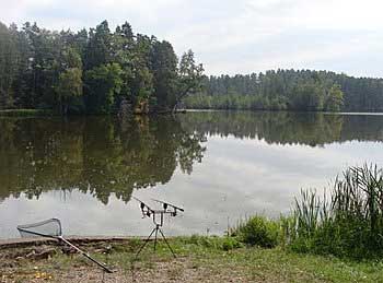 Sportovní rybolov na rybníku Nový Kanclíř | Rybníky Třeboňsko | MAS Třeboňsko