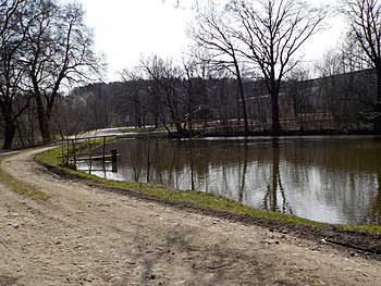 Podedvorský rybník | Rybníky Třeboňsko | MAS Třeboňsko