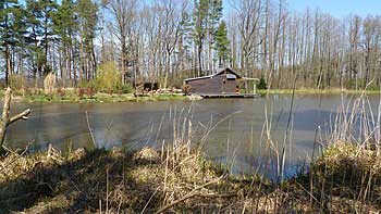 Hamerníků dolní rybník | Rybníky Třeboňsko | MAS Třeboňsko