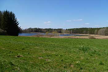 Farský rybník, pohled od Novosedel | Rybníky Třeboňsko | MAS Třeboňsko