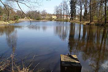 Jemčinský rybník | Rybníky Třeboňsko | MAS Třeboňsko