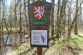 Informační tabule na břehu rybníka Chodec | Rybníky Třeboňsko | MAS Třeboňsko