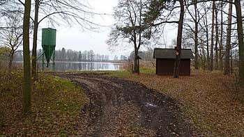 Příjezd k Lomnickému velkému rybníku | Rybníky Třeboňsko | MAS Třeboňsko