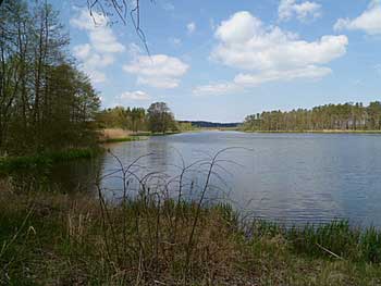Matenský rybník | Rybníky Třeboňsko | MAS Třeboňsko