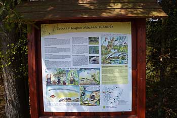 Informační tabule na hrázi rybníka Podsedek | Rybníky Třeboňsko | MAS Třeboňsko