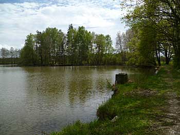 Hráz rybníka Malý Tisý | Rybníky Třeboňsko | MAS Třeboňsko