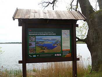Informační tabule o přírodní rezervaci Velký a Malý Tisý | Rybníky Třeboňsko | MAS Třeboňsko