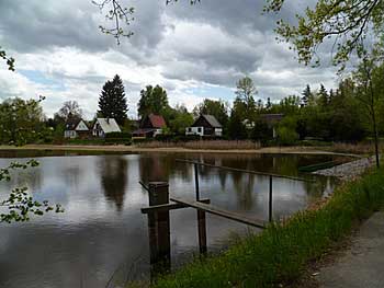 Vlachnovický rybník, v pozadí rekreační chaty | Rybníky Třeboňsko | MAS Třeboňsko
