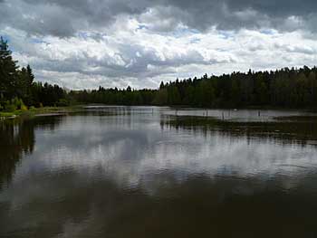 Herdovský rybník | Rybníky Třeboňsko | MAS Třeboňsko