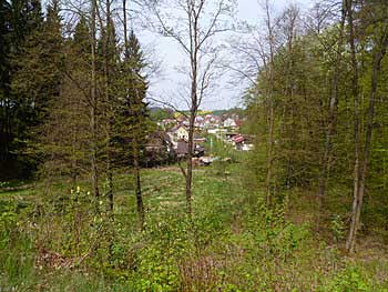 Pohled z hráze Pěněnského rybníka na obec Horní Pěna | Rybníky Třeboňsko | MAS Třeboňsko