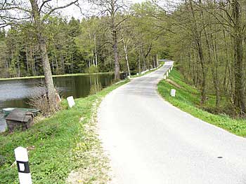 Pohled na komunikaci vedoucí po hrázi rybníka Panoš | Rybníky Třeboňsko | MAS Třeboňsko