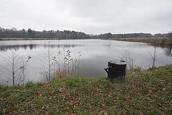 Rybník Horní pod Polomem | Rybníky Třeboňsko | MAS Třeboňsko