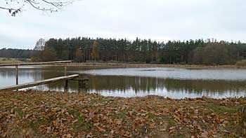 Prelátský rybník | Rybníky Třeboňsko | MAS Třeboňsko