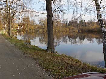 Rybník Mlýnský | Rybníky Třeboňsko | MAS Třeboňsko