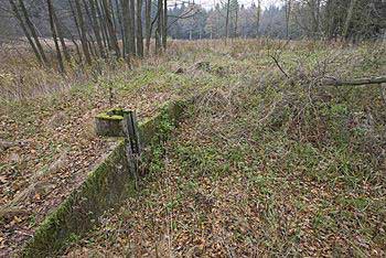 Bývalé odchovné rybníčky pro pstruhy pod rybníkem | Rybníky Třeboňsko | MAS Třeboňsko