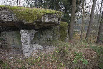 Odstřelený bungr (řopík) a v dáli rybník Maurer dolní | Rybníky Třeboňsko | MAS Třeboňsko