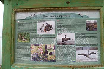 Informační tabule na hrázi Horusického rybníka | Rybníky Třeboňsko | MAS Třeboňsko