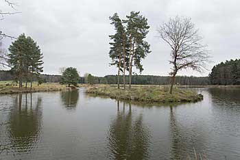 Ostrůvek na Slavíčku | Rybníky Třeboňsko | MAS Třeboňsko
