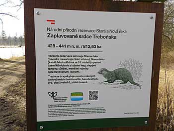 Rybník je součástí přírodní rezervace | Rybníky Třeboňsko | MAS Třeboňsko