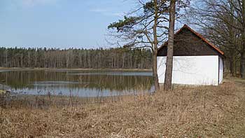 Hrachovišťský rybník | Rybníky Třeboňsko | MAS Třeboňsko