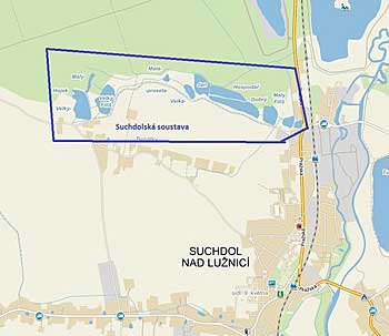 Praseta velká | Rybníky Třeboňsko | MAS Třeboňsko