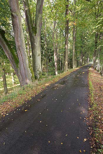 Hráz | Rybníky Třeboňsko | MAS Třeboňsko
