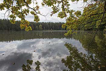 Podzim na Drápale | Rybníky Třeboňsko | MAS Třeboňsko