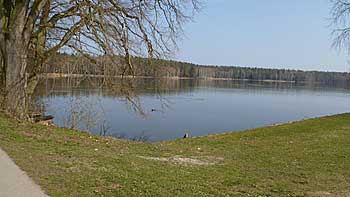 Rybník Staviště | Rybníky Třeboňsko | MAS Třeboňsko