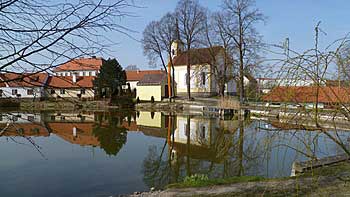 Starý stříbřecký rybník | Rybníky Třeboňsko | MAS Třeboňsko