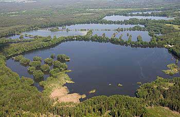 Staré jezero a Chlumská rybniční soustava | Rybníky Třeboňsko | MAS Třeboňsko