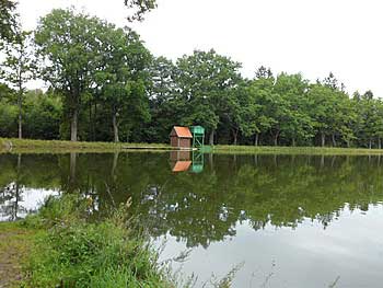 Pohled na hráz rybníka Ženich | Rybníky Třeboňsko | MAS Třeboňsko