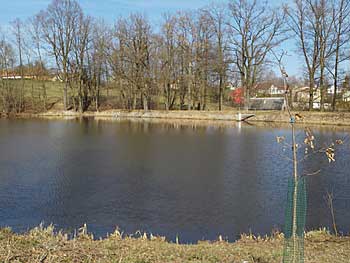 Zrenovovaná hráz rybníka Ťulpa (jaro 2015) | Rybníky Třeboňsko | MAS Třeboňsko